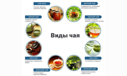 Обладая множеством полезных свойств, чай при панкреатите оказывает умеренный противовоспалительный, дезинфицирующий и противоотечный эффекты