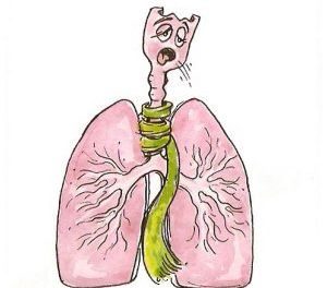 рисунок лёгких человека