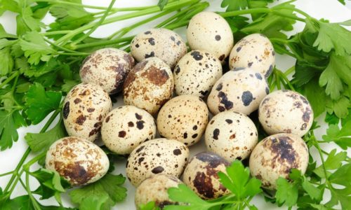 Перепелиные яйца являются диетическим продуктом