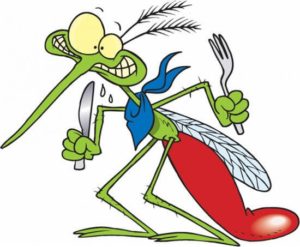 Средство от комаров в домашних условиях