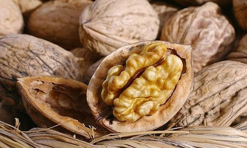 Грецкие орехи при панкреатите можно есть в небольшом количестве, учитывая особенности заболевания