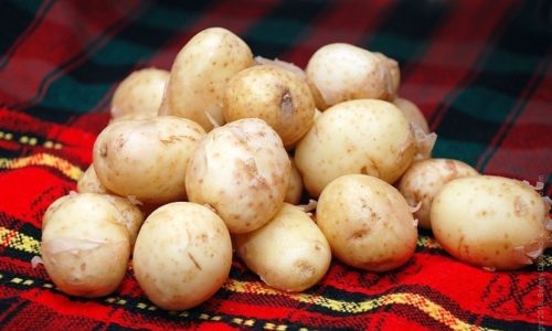Из картофеля приготовьте слизистые супы