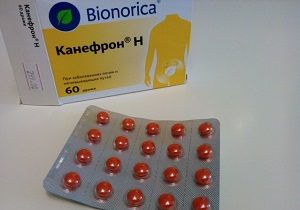 Растительный препарат для лечения урологических заболеваний Канефрон: инструкция по применению, цена, отзывы, аналоги комбинированного медикамента