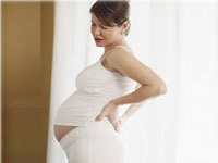 болят почки при беременности