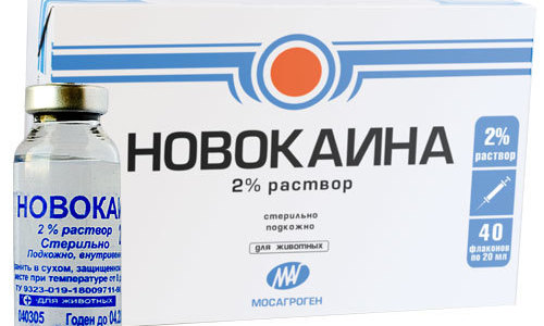 Новокаин или Прокаин - местный анестезирующий препарат, применяемый для эпидуральной анестезии, блокад, компрессов