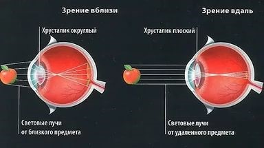 Механизм аккомодации глаза и возможные нарушения