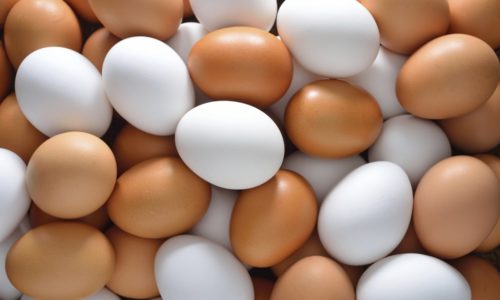 Яйца содержат множество полезных веществ, поэтому их рекомендуют обязательно включать в рацион всем здоровым людям