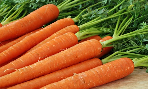 Морковь при панкреатите разрешена к употреблению, но существует ряд правил, которых следует придерживаться