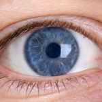 Механизм аккомодации глаза и возможные нарушения